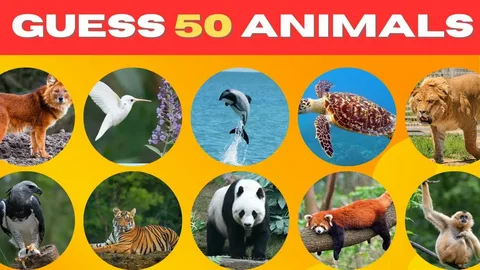 50 The rarest animals on the planet.