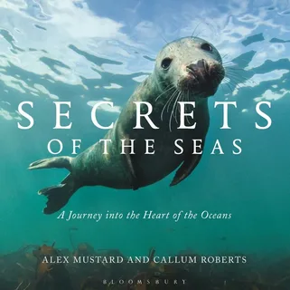 50 Secrets of the oceans and seas.