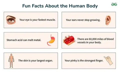 50 Interesting facts about the human body.