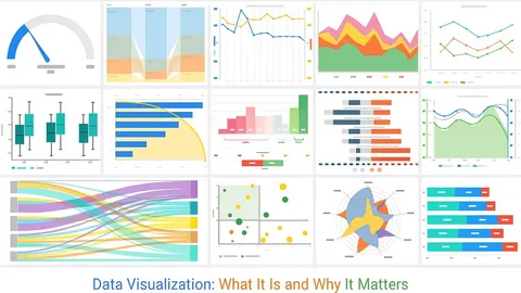 Why Data Visualization Matters: Examples and Tools